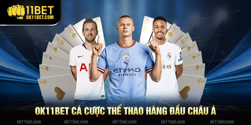 Ok11bet cá cược hàng đầu Châu Á